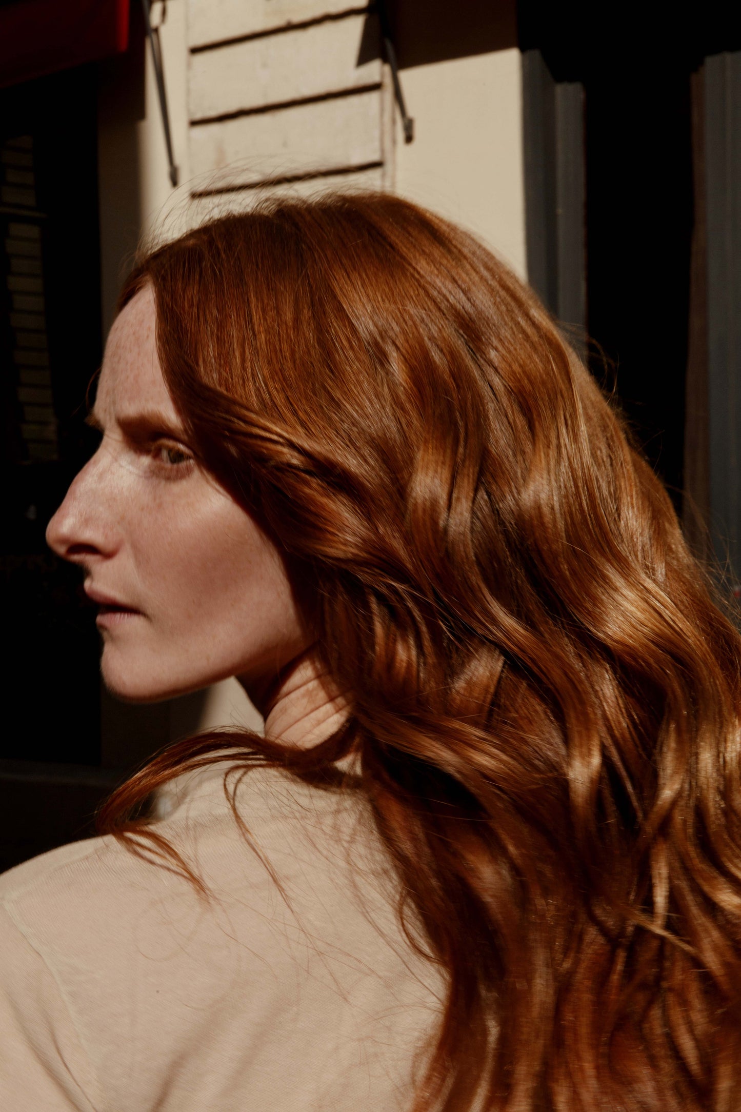 THE MULTI-MOODY FLUID