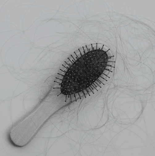 LA CHUTE DE CHEVEUX EN AUTOMNE