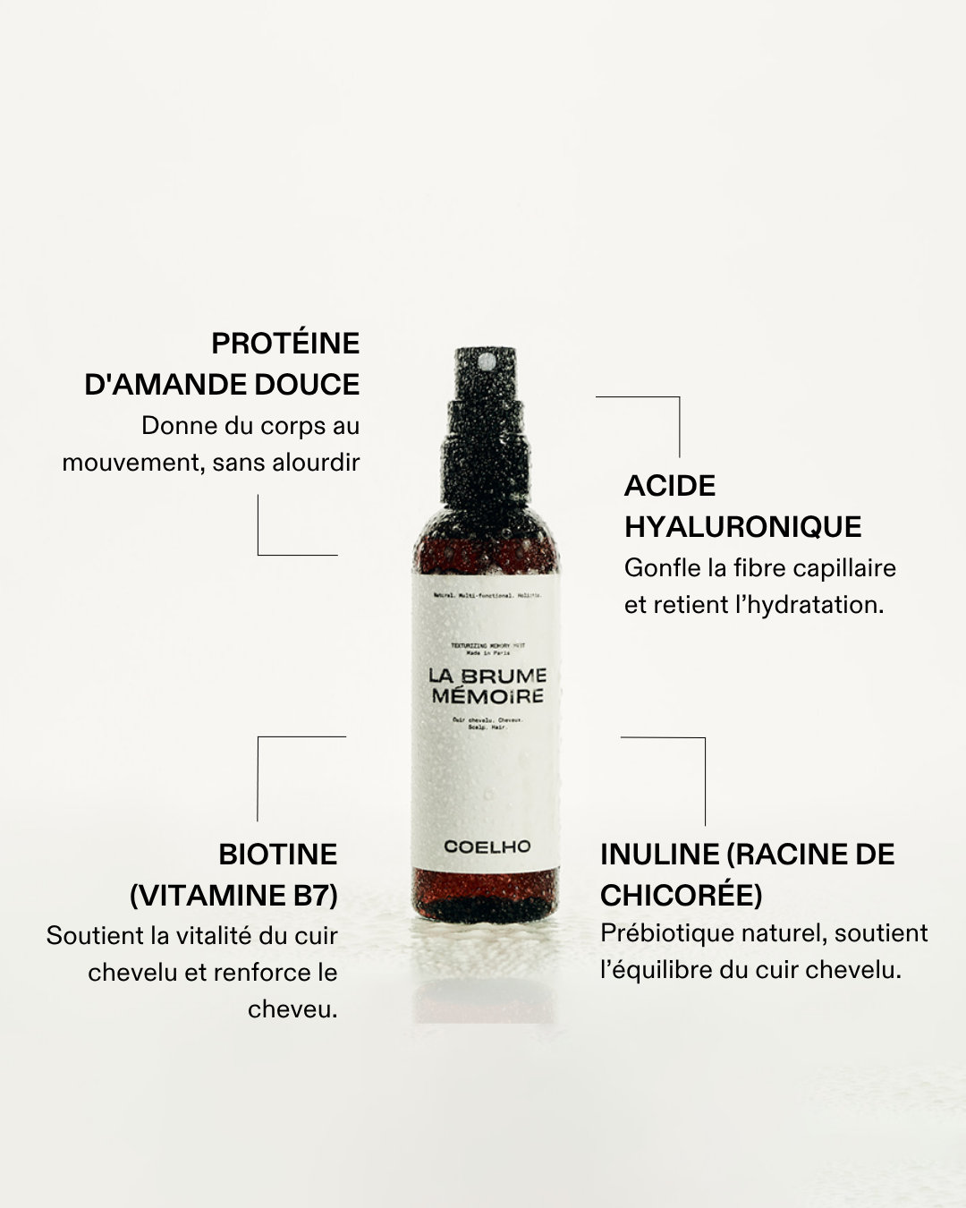 LA BRUME MÉMOIRE
