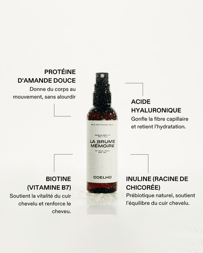 LA BRUME MÉMOIRE