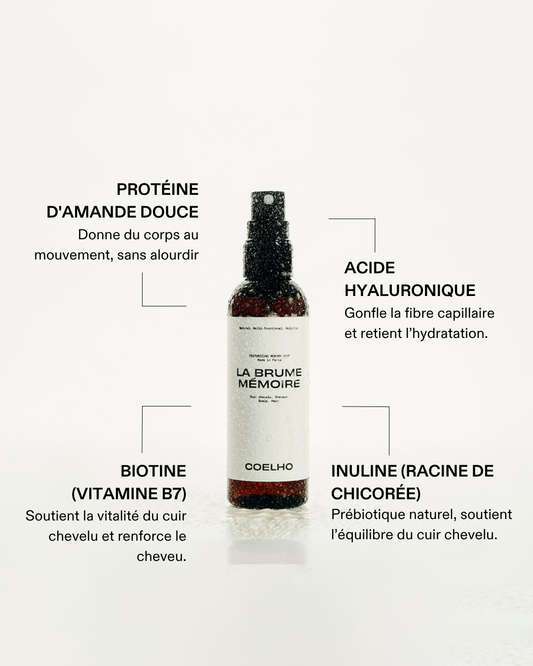 LA BRUME MÉMOIRE