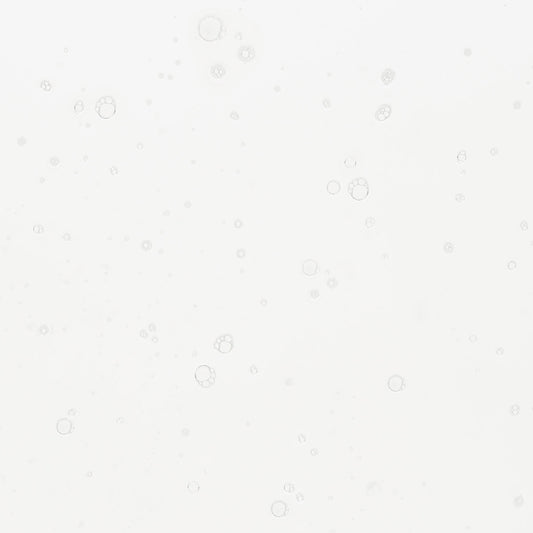 LA BRUME MÉMOIRE