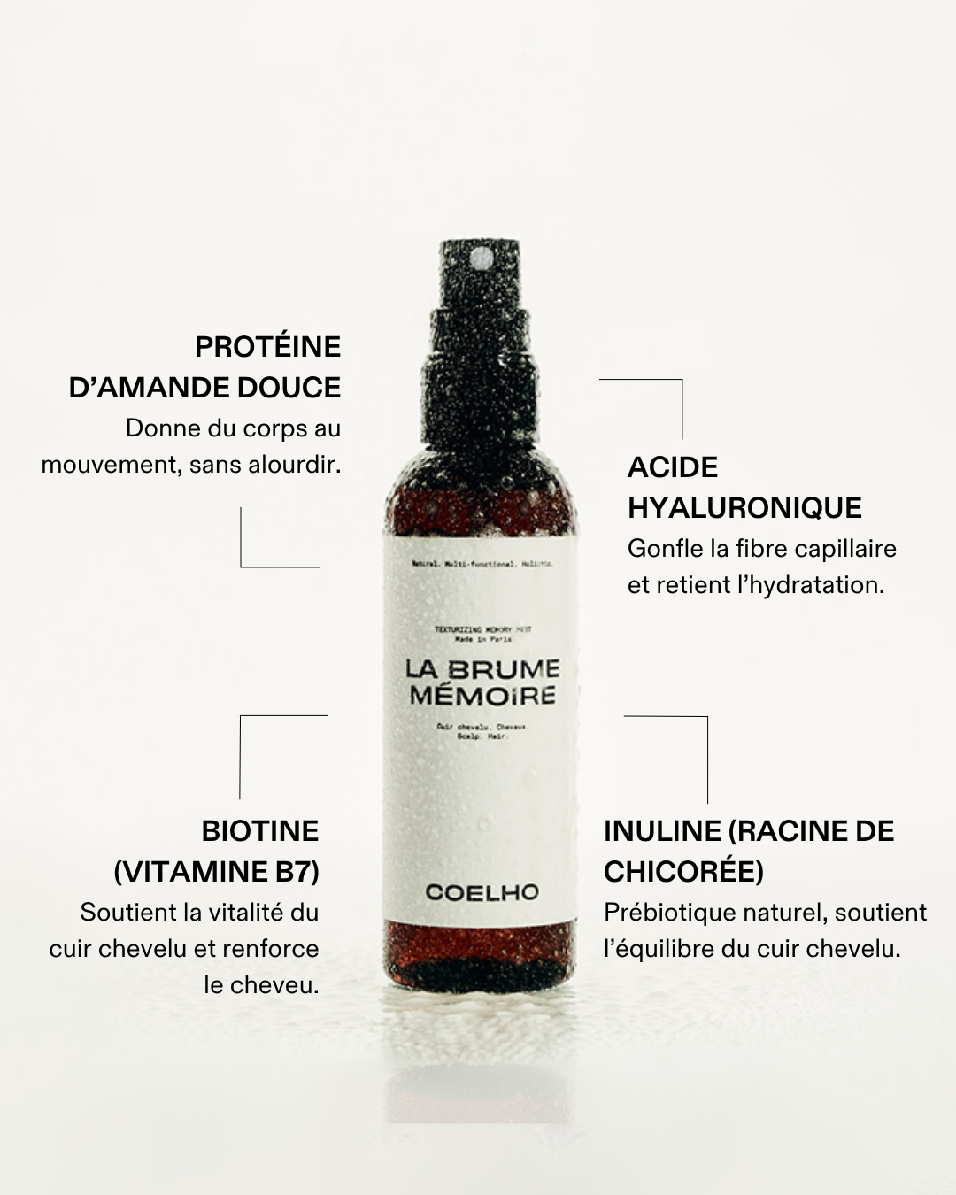 LA BRUME MÉMOIRE 
