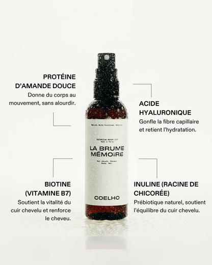 LA BRUME MÉMOIRE 