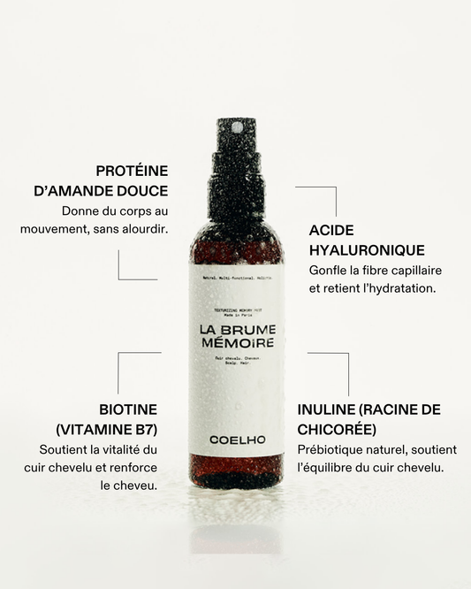 LA BRUME MÉMOIRE