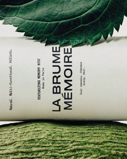 LA BRUME MÉMOIRE