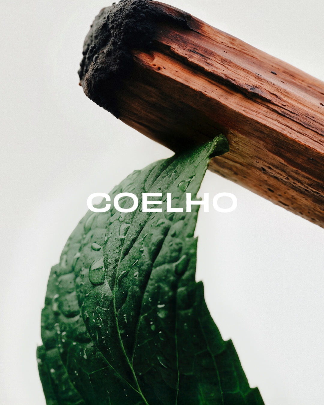 HOLISTIC AND MULTI-FUNCTIONAL