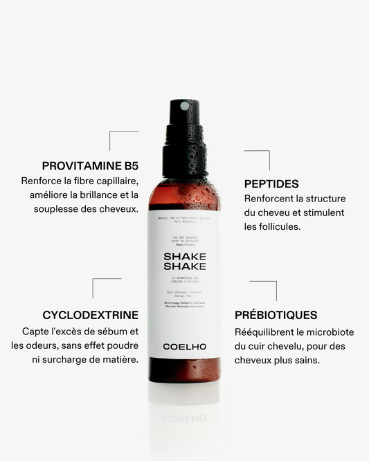 LE SHAKE SHAKE