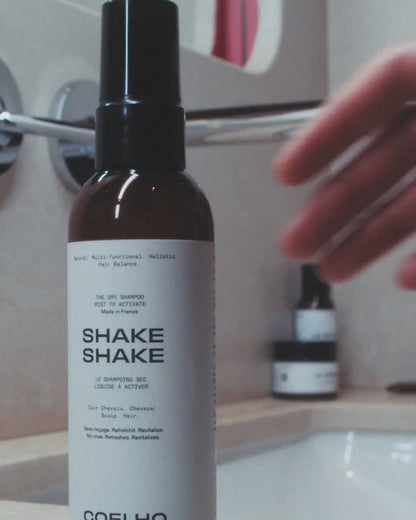LE SHAKE SHAKE