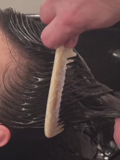 LE PEIGNE 001 - IVOIRE